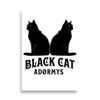 BLACK CAT - Poster